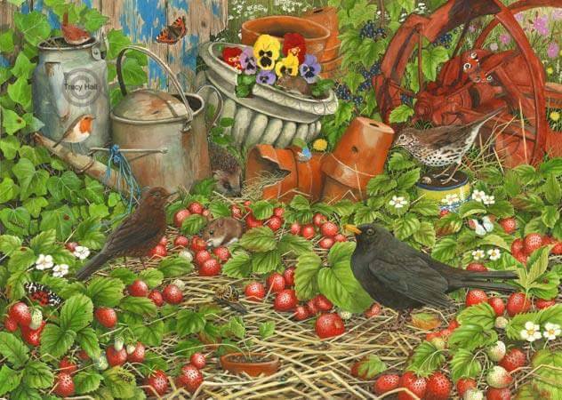 colourfull garden - colourfull garden - оригинал