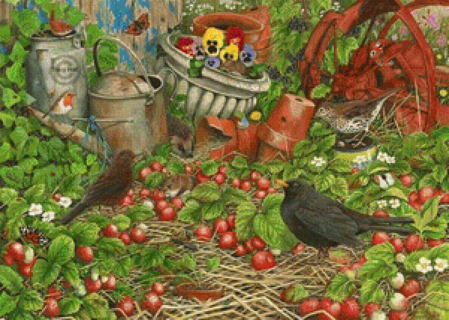 colourfull garden - colourfull garden - предпросмотр