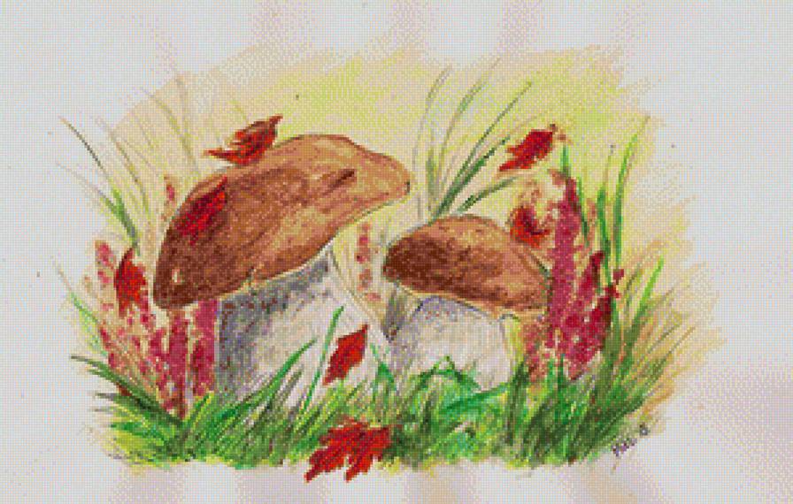 mushrooms - mushrooms - предпросмотр