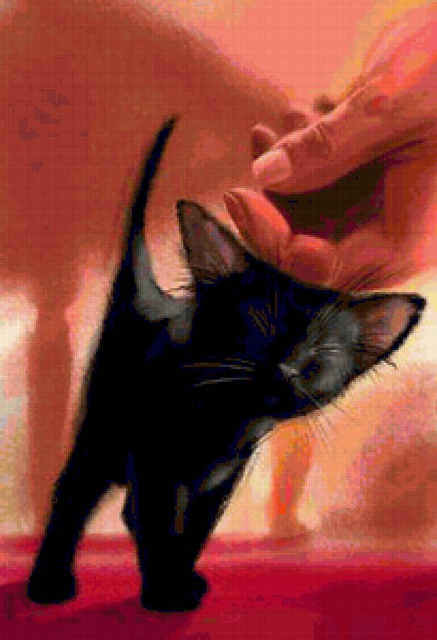 black kitty - black kitty - предпросмотр