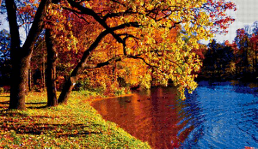 Осень на берегу озера - лес, осень, озеро, вода - предпросмотр