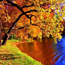Осень на берегу озера