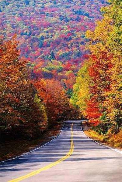 autumn - autumn - оригинал