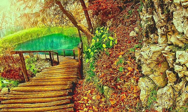 Спуск к озеру - вода, лес, озеро - оригинал