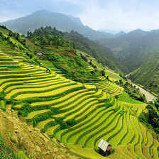 Схема вышивки «№1232977»