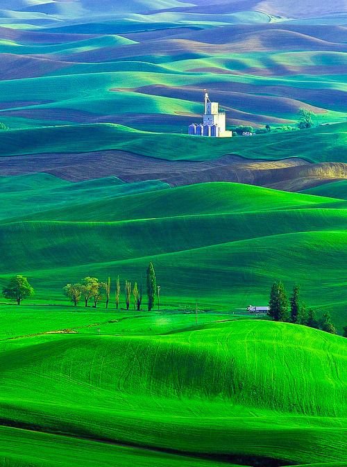 №1232982 - оригинал