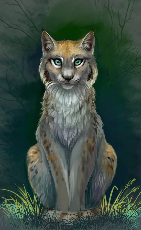 big cat at night - big cat at night - оригинал