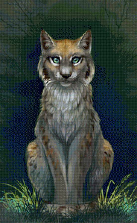 big cat at night - big cat at night - предпросмотр