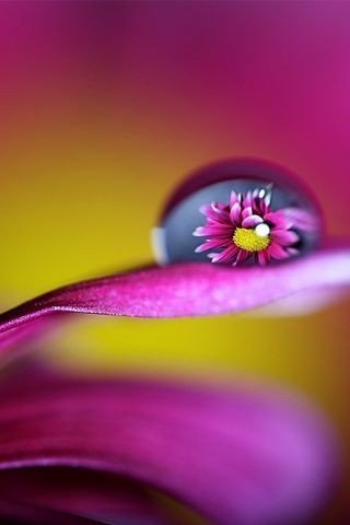 waterdrop - waterdrop - оригинал