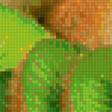 Предпросмотр схемы вышивки «kiwi» (№1233045)