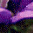 Предпросмотр схемы вышивки «violets» (№1233100)