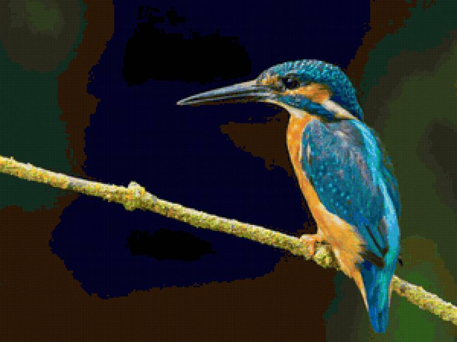 kingfisher - kingfisher - предпросмотр