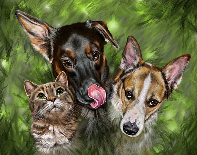 Троица - кот, коты, собаки, животные - оригинал