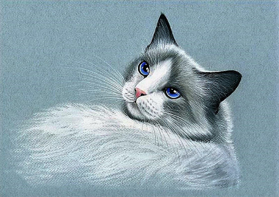 ragdoll - ragdoll - оригинал