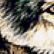 Предпросмотр схемы вышивки «wolves» (№1233188)