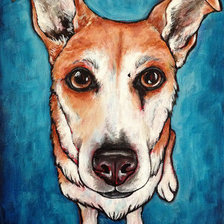 dog on canvas