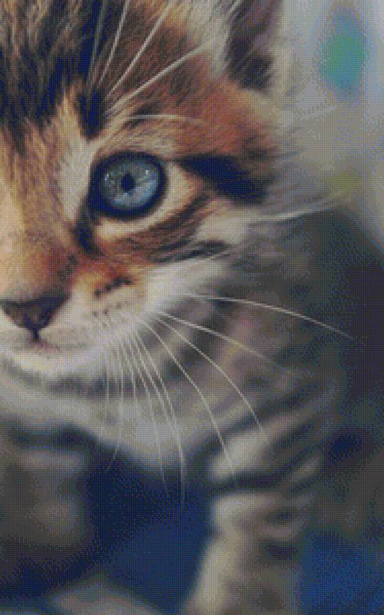 little kitty - little kitty - предпросмотр