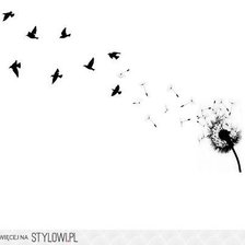 Схема вышивки «dandelion black and white»