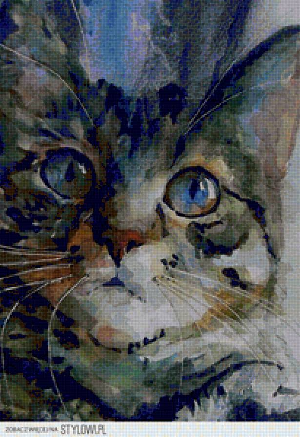 cat on canvas - cat on canvas - предпросмотр