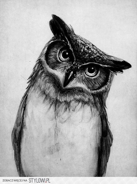 owl black and white - owl black and white - оригинал