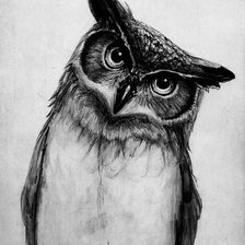 Схема вышивки «owl black and white»