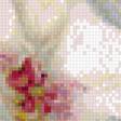 Предпросмотр схемы вышивки «Орхидея красками» (№1233318)
