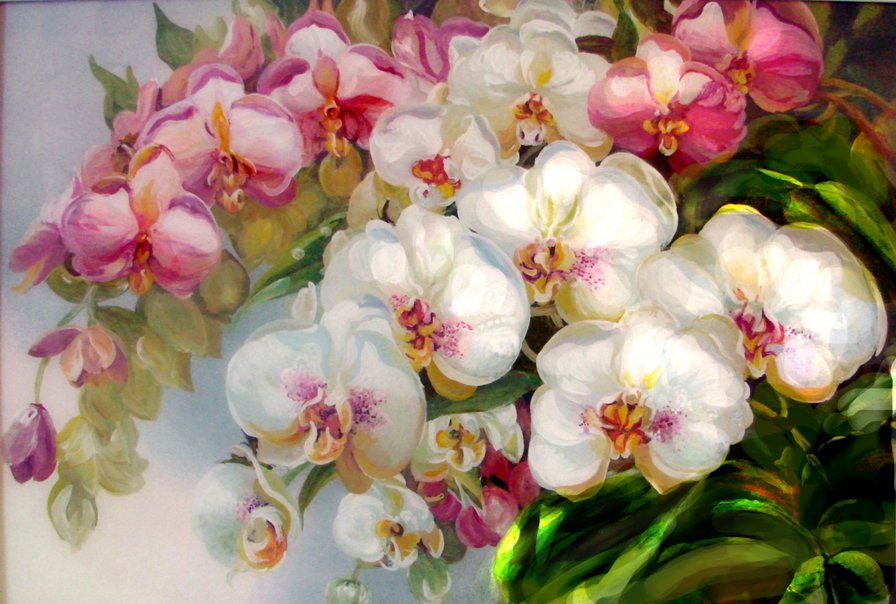 Орхидея красками - цветы, акварель, орхидея - оригинал