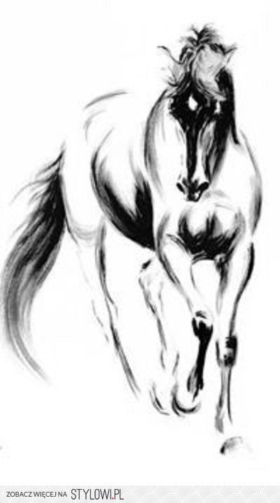 horse black and white - horse black and white - оригинал