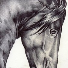 Оригинал схемы вышивки «horse» (№1233334)