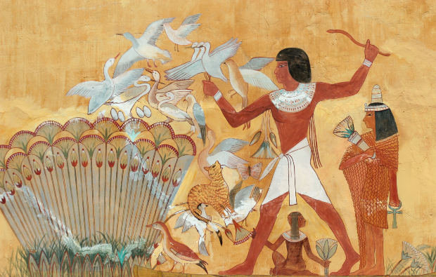 Egyptian papyrus - egyptian papyrus - оригинал