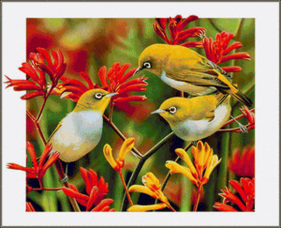 №1233483 - птицы - предпросмотр