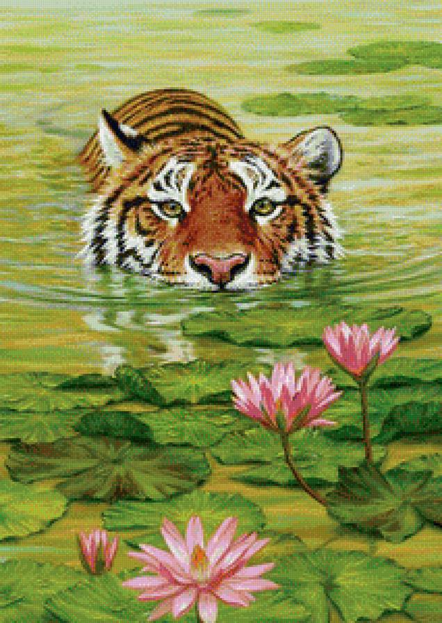 тигр - символ величия и мощи - предпросмотр