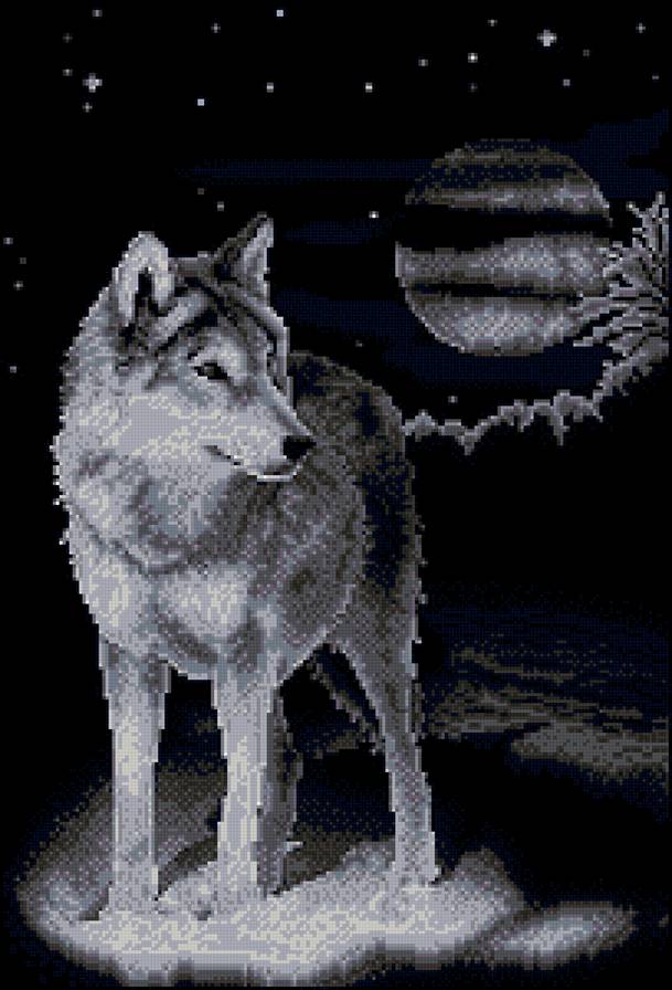 белый волк панна - волк, белый - предпросмотр