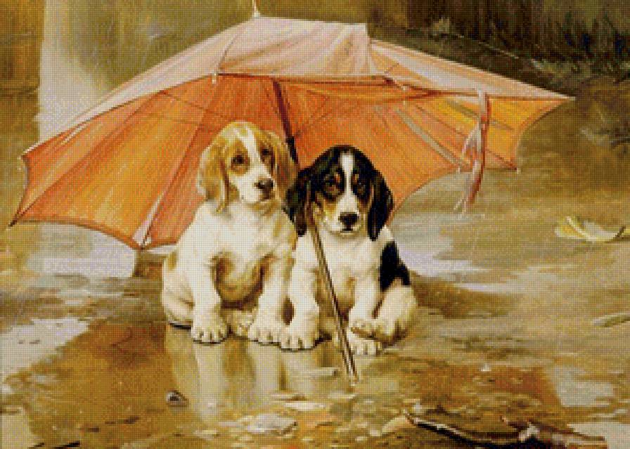 Под дождем - собаки, картина - предпросмотр