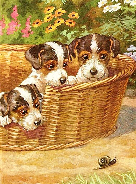 Любопытные малыши - собаки, картина - оригинал