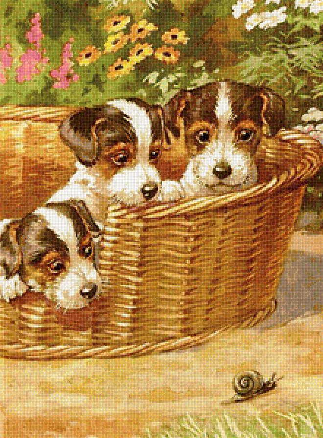 Любопытные малыши - картина, собаки - предпросмотр