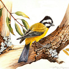 Схема вышивки «певчая птичка»