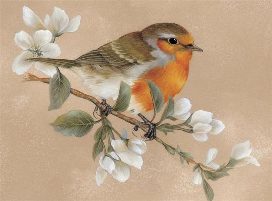 певчая птичка - оригинал