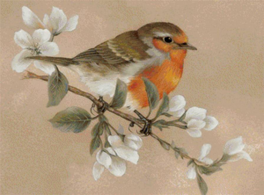 певчая птичка - предпросмотр