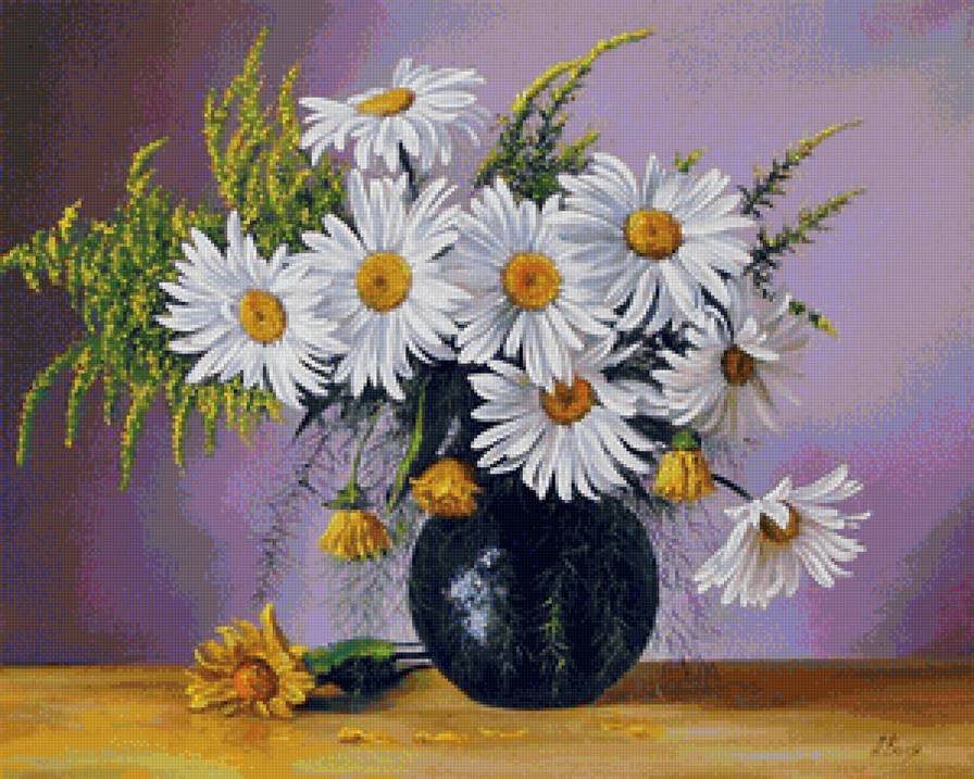 белые ромашки - предпросмотр