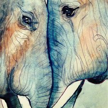 Схема вышивки «Slonie»