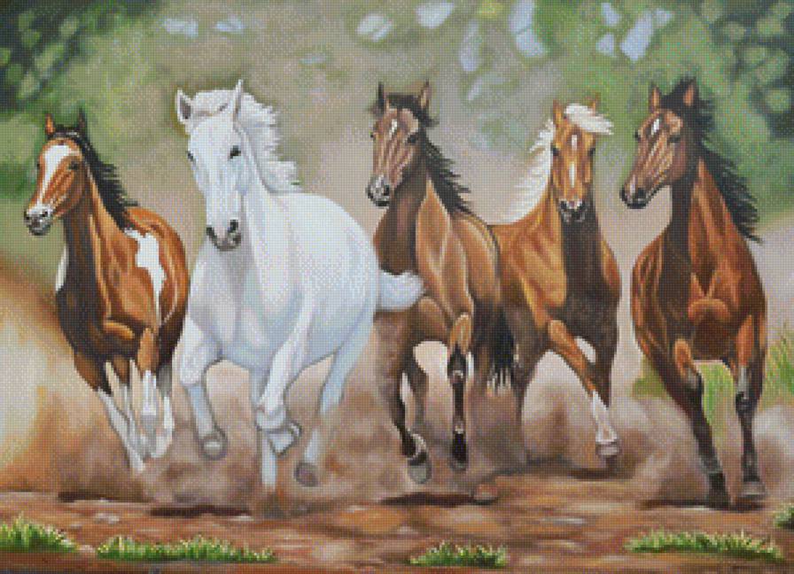 konie w galopie - konie w galopie - предпросмотр