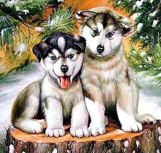 щенята - щенки.собака. хаски - оригинал