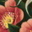 Предпросмотр схемы вышивки «дикая роза» (№1234901)