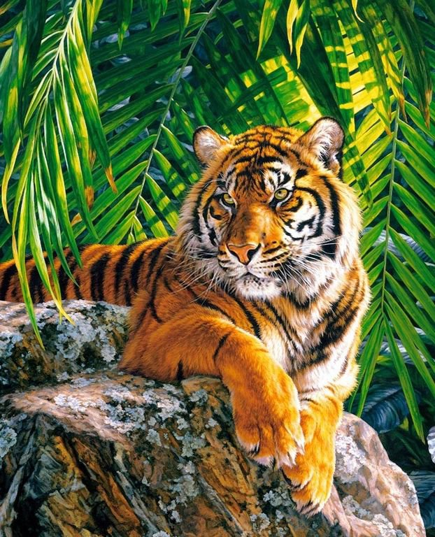 тигр - тигр, большая кошка - оригинал