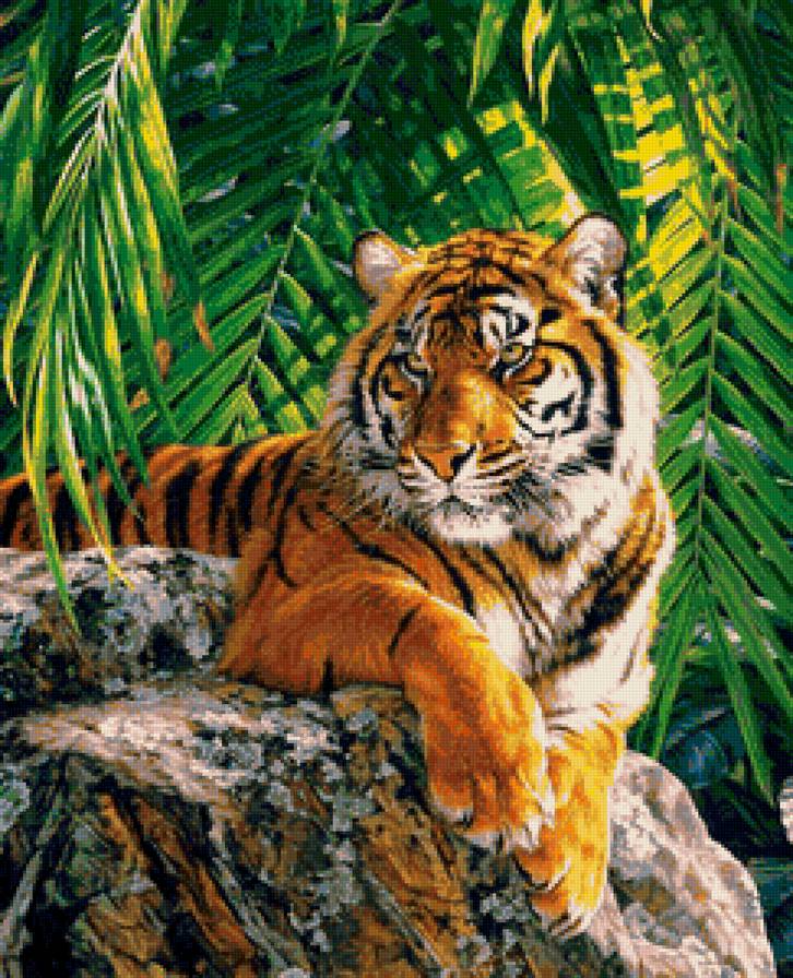 тигр - большая кошка, тигр - предпросмотр