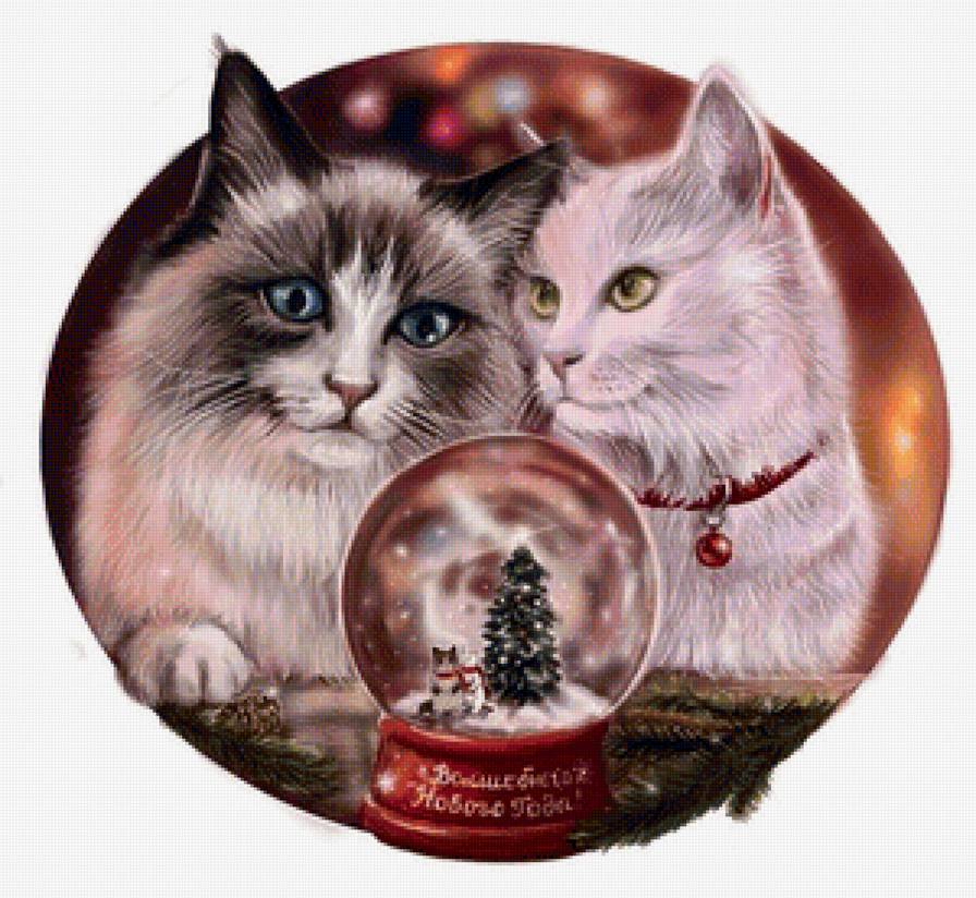 Котики - животные - предпросмотр