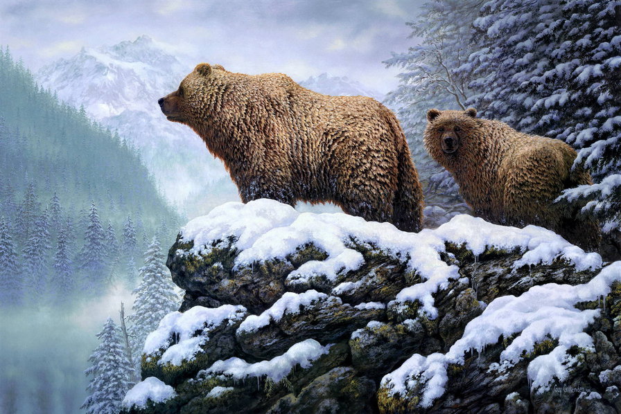 мишкам спать пора - животные - оригинал