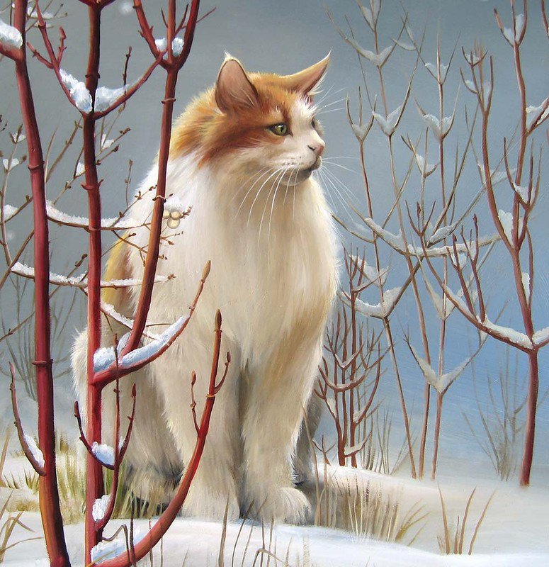 №1235646 - кошки, животные - оригинал