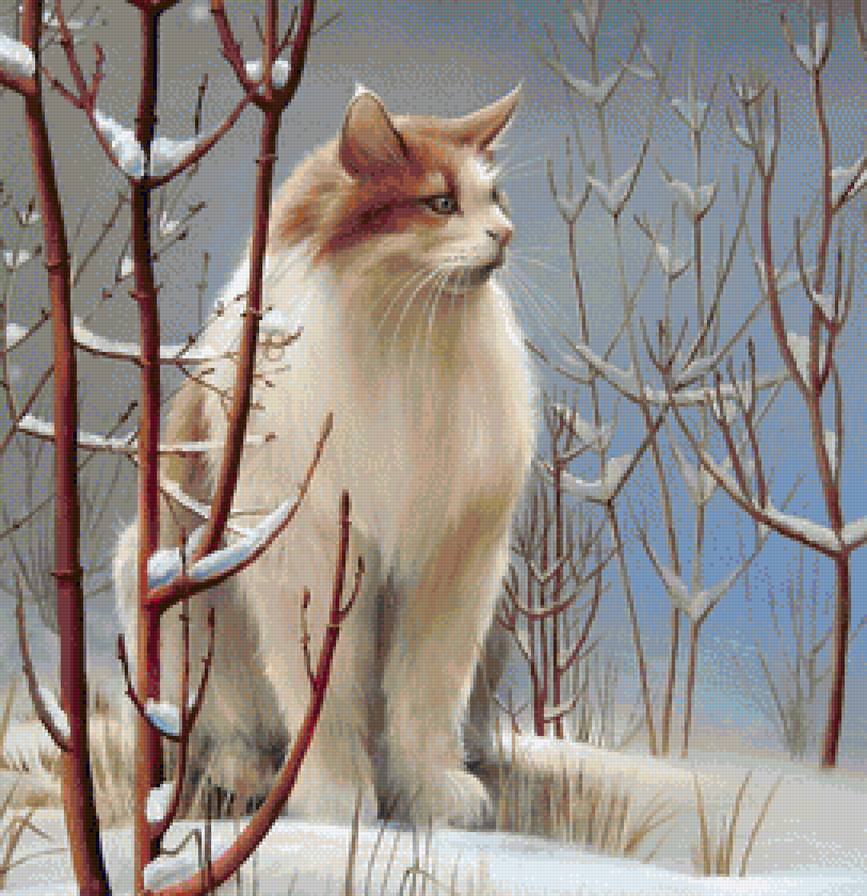 №1235646 - кошки, животные - предпросмотр